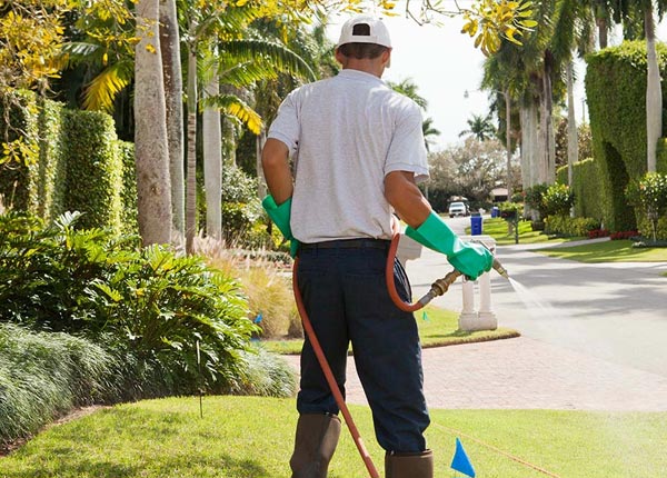 About Wind Gap PA Pest Control Pros